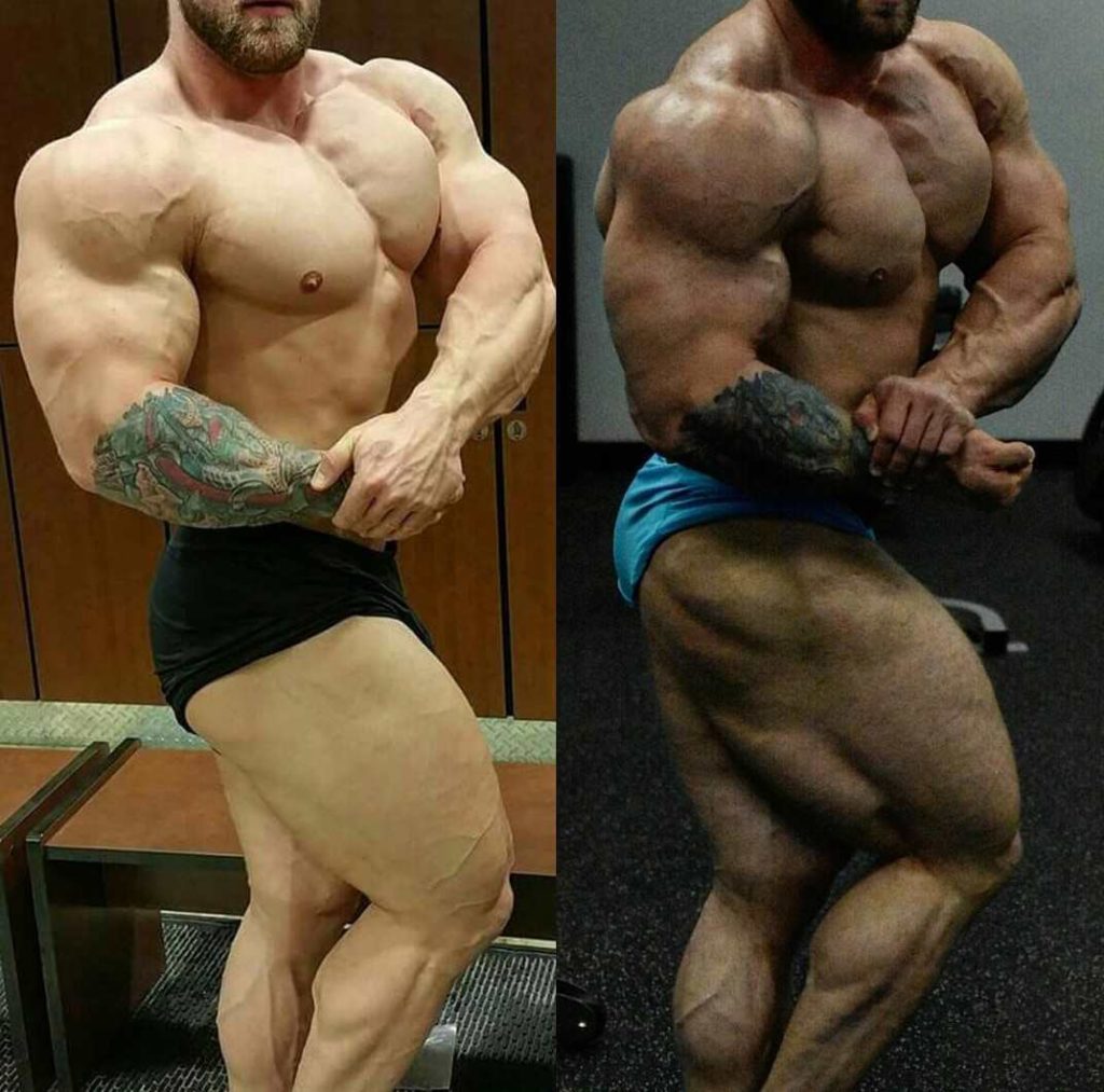 Trenbolone Effekt